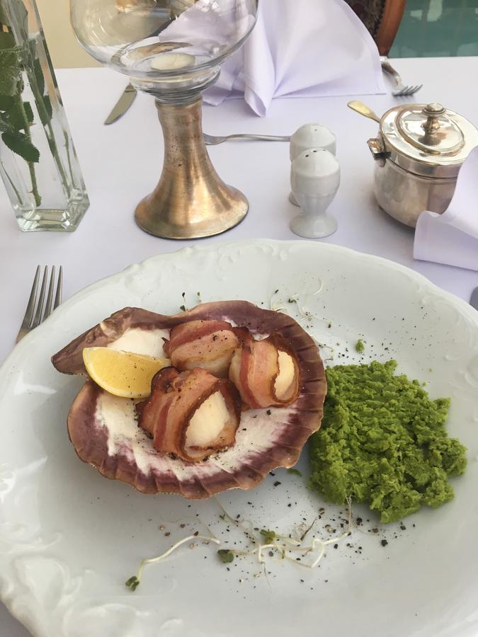 Palac Piorunow & Spa Kwiatkowice Kültér fotó